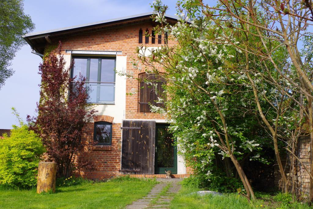 Haus Am See In Kleinzerlang Habitación foto